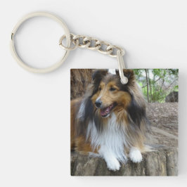 Sheltie in het bos sleutelhanger