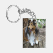 Sheltie in the woods sleutelhanger (Voorkant Links)