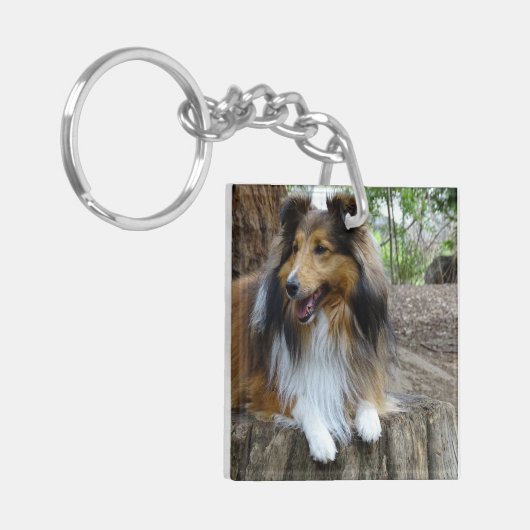 Sheltie in the woods sleutelhanger (Voorkant Links)