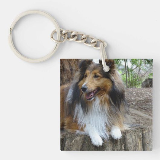 Sheltie in the woods sleutelhanger (Voorkant)