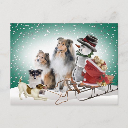 Sheltie, Jack Russell en Snowman Xmas Kaarten Feestdagenkaart (Voorkant)