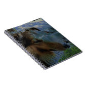 Sheltie Journal Notitieboek (Rechterzijde)