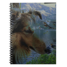 Sheltie Journal Notitieboek