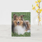 Sheltie Kaart (Gele Bloem)