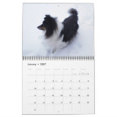 Sheltie Kalender 2024 (Jan 2027)