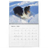 Sheltie Kalender 2024 (Feb 2026)