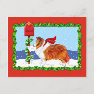Sheltie kerstmail Sable Feestdagenkaart