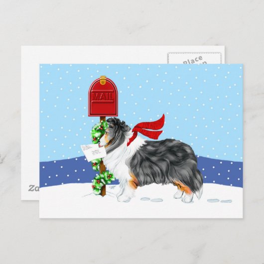 Sheltie kerstmail Tri Color Feestdagenkaart (Voorkant / Achterkant)