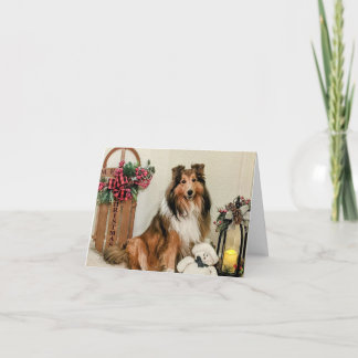 Sheltie Kerstmis Feestdagen Kaart