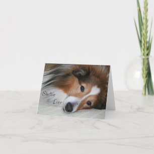 Sheltie Love Kaart