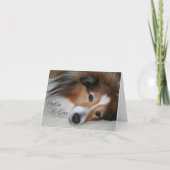 Sheltie Love Kaart (Voorkant)
