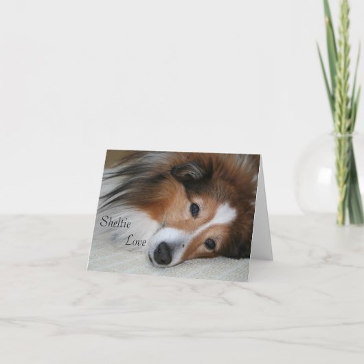 Sheltie Love Kaart (Voorkant)