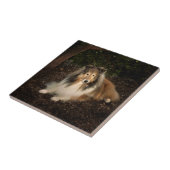 Sheltie Magic Tile Tegeltje (Zijkant)