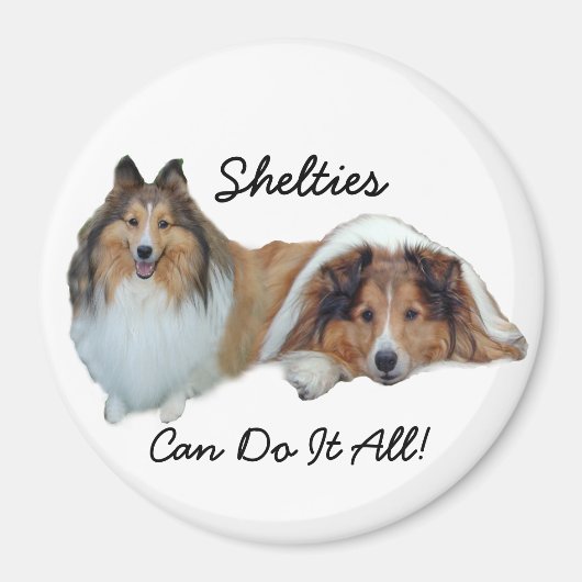 Sheltie Magnet (Voorkant)