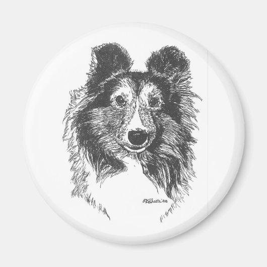 Sheltie Magnet (Voorkant)