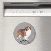 Sheltie Magnet (Insitu (Vaatwasser))