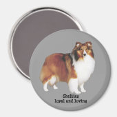 Sheltie Magnet (Voorkant / Achterkant)