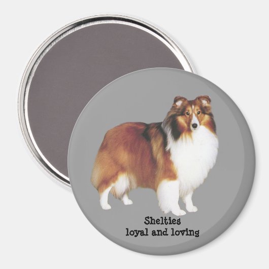Sheltie Magnet (Voorkant / Achterkant)