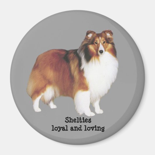Sheltie Magnet (Voorkant)