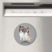 Sheltie Magnet (Insitu (Vaatwasser))