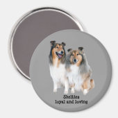 Sheltie Magnet (Voorkant / Achterkant)