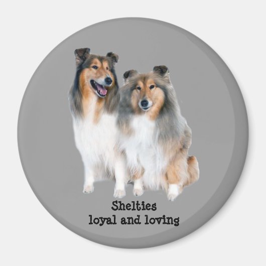 Sheltie Magnet (Voorkant)