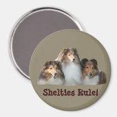 Sheltie Magnet (Voorkant / Achterkant)
