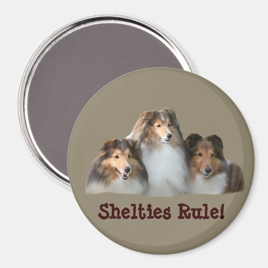 Sheltie Magnet (Voorkant / Achterkant)