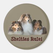Sheltie Magnet (Voorkant)