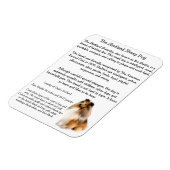 Sheltie Magnet Magneet (Linkerzijde)