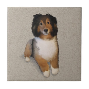 Sheltie mix hond portret tegeltje