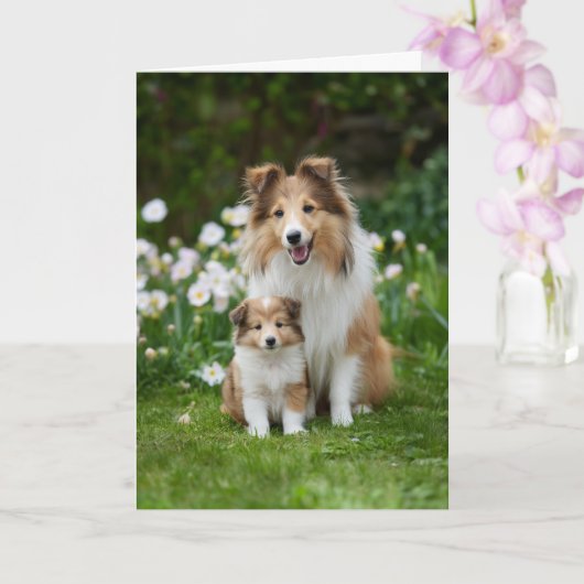 Sheltie Moeder Moederdag Liefde Kaart (Orchidee)