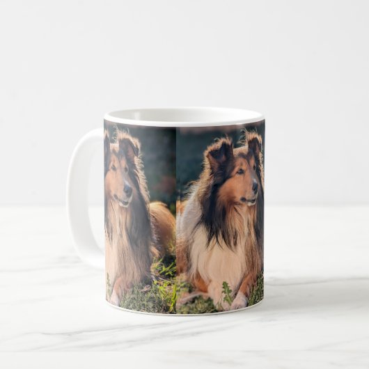 Sheltie Mok (Voorkant links)