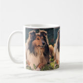 Sheltie Mok (Links)