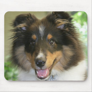 Sheltie Mousepad Muismat