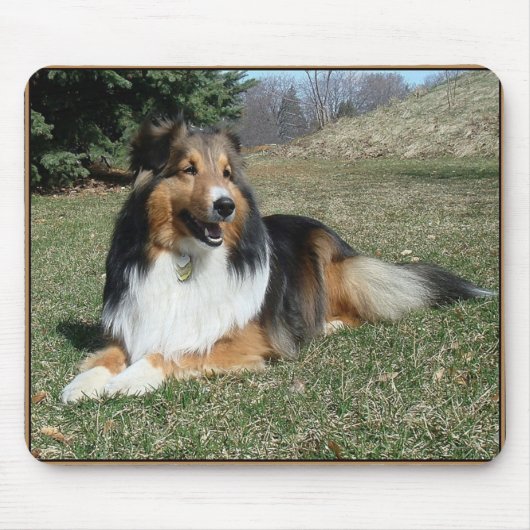 Sheltie_mpad4 Muismat (Voorkant)