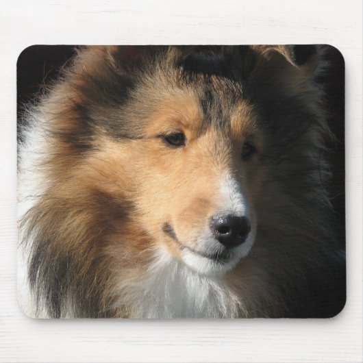 Sheltie Muismat (Voorkant)