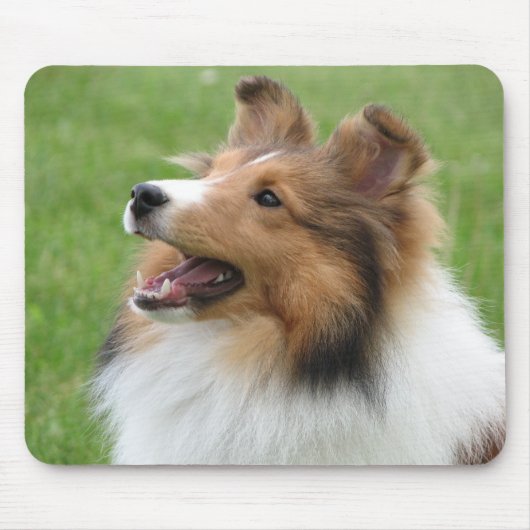 Sheltie op mousepad muismat (Voorkant)