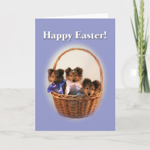 Sheltie Paasmand Feestdagen Kaart