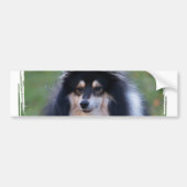 Sheltie Photo Bumpersticker (Voorkant)