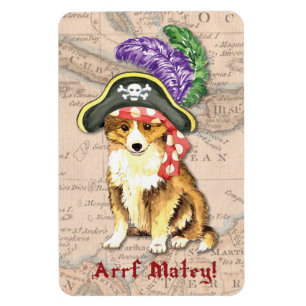 Sheltie Pirate Magneet