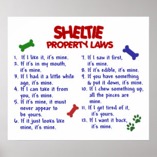 SHELTIE PL2 POSTER