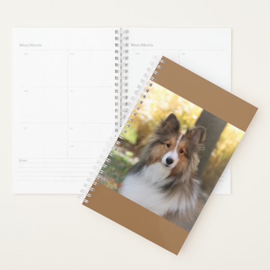 Sheltie Planner (Display)
