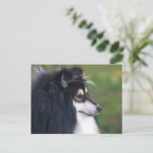 Sheltie Puppy Briefkaart (Staand voorkant)