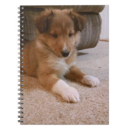 Sheltie Puppy Notitieboek