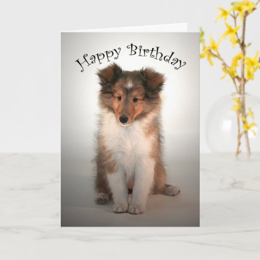 Sheltie Puppy Verjaardag Kaart (Gele Bloem)