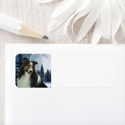 Sheltie Return Label (Insitu)