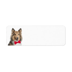 Sheltie Return Label