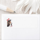 Sheltie Return Label (Insitu)