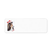 Sheltie Return Label (Voorkant)
